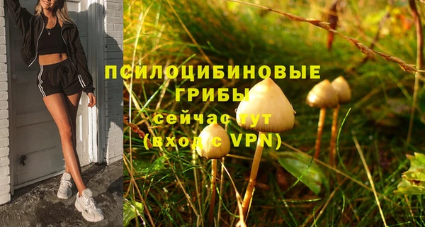 а пвп мука Балабаново