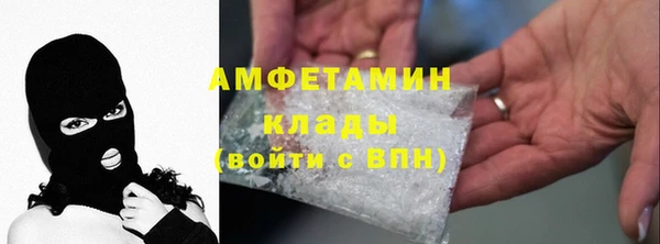 шишки Белокуриха