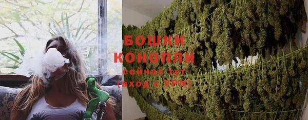 индика Беломорск