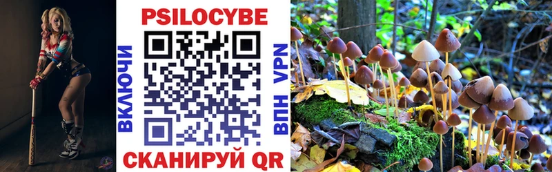 кракен зеркало  где купить наркоту  Красный Холм  Галлюциногенные грибы Psilocybine cubensis 